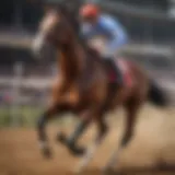 A majestic thoroughbred galloping on a racetrack