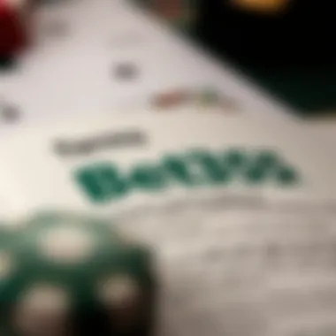 Detailed view of terms and conditions for Bet365 promo code